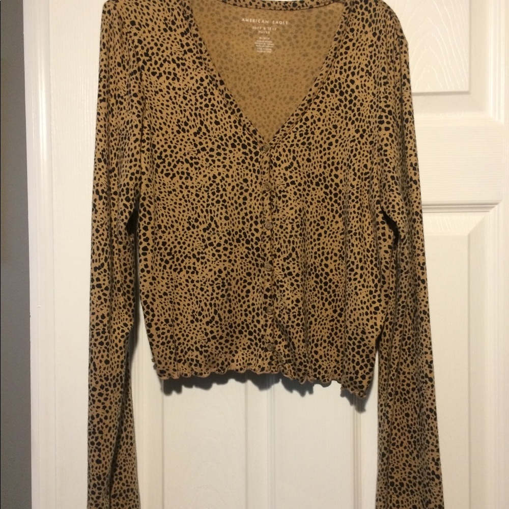 American Eagle Cardigan